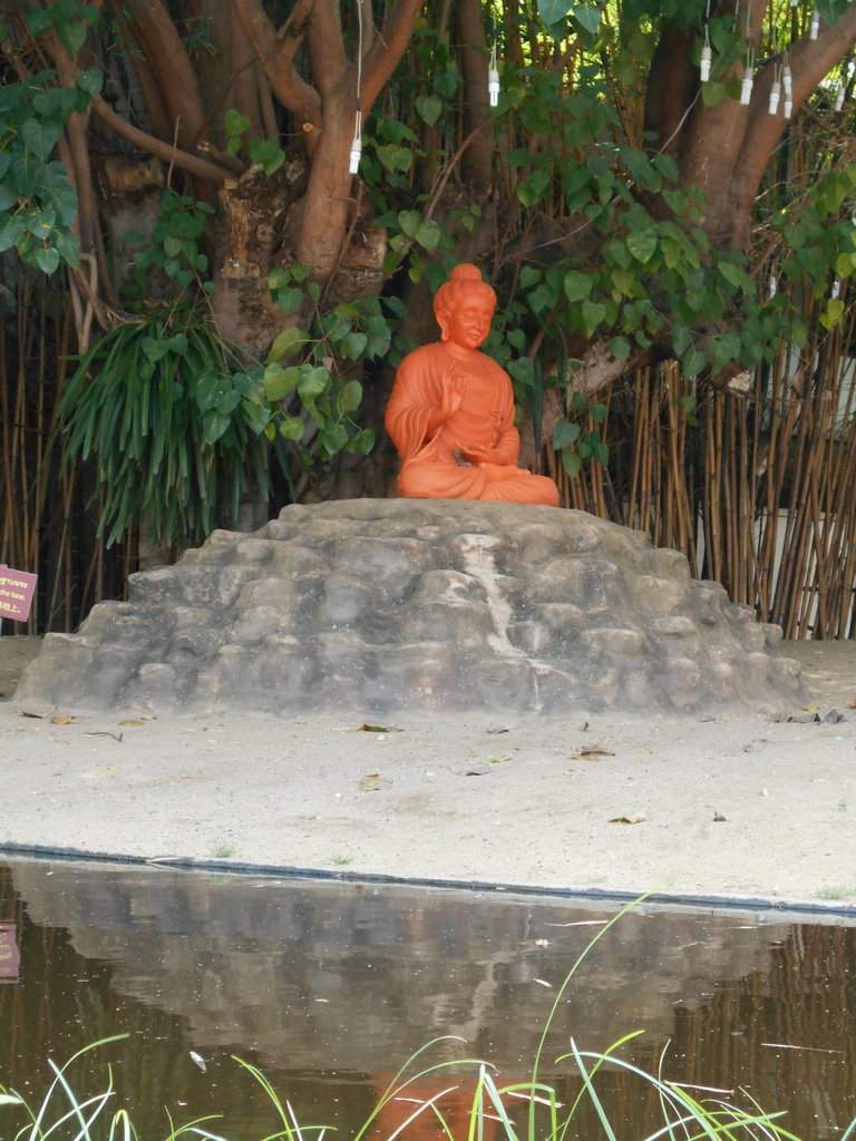 DSCN2563.JPG
