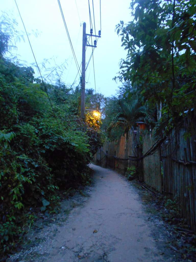 DSCN2681.JPG