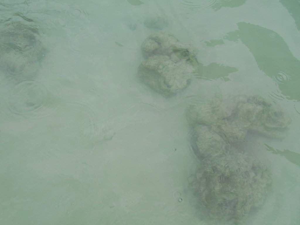 DSCN2946.JPG