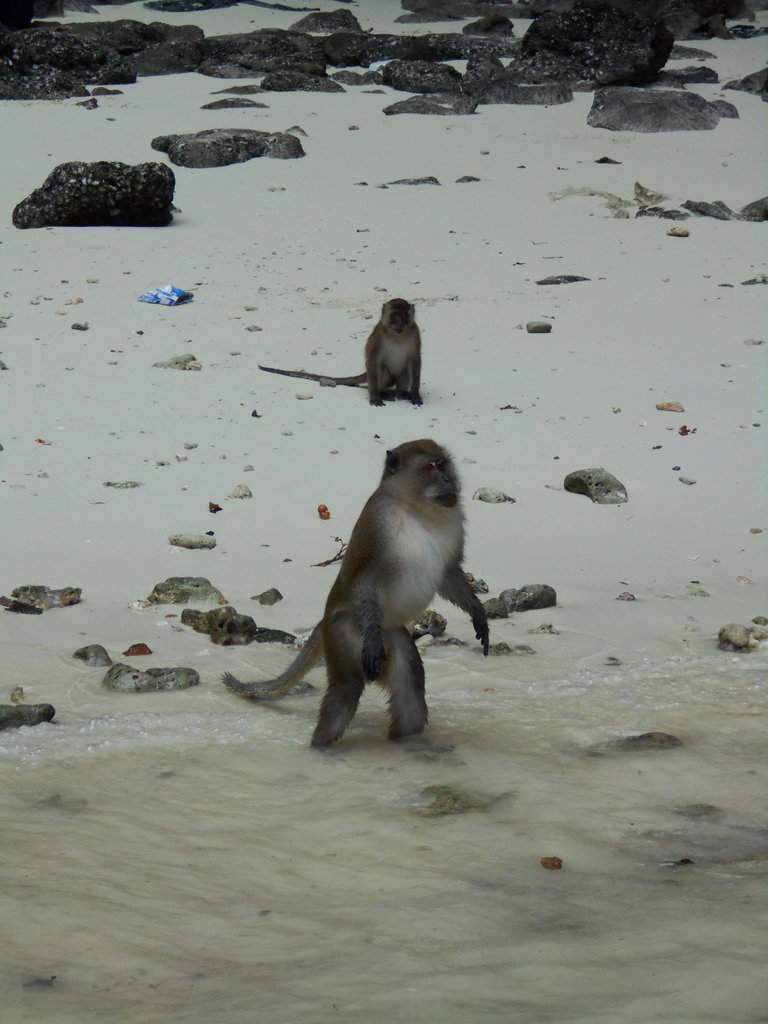 DSCN2999.JPG