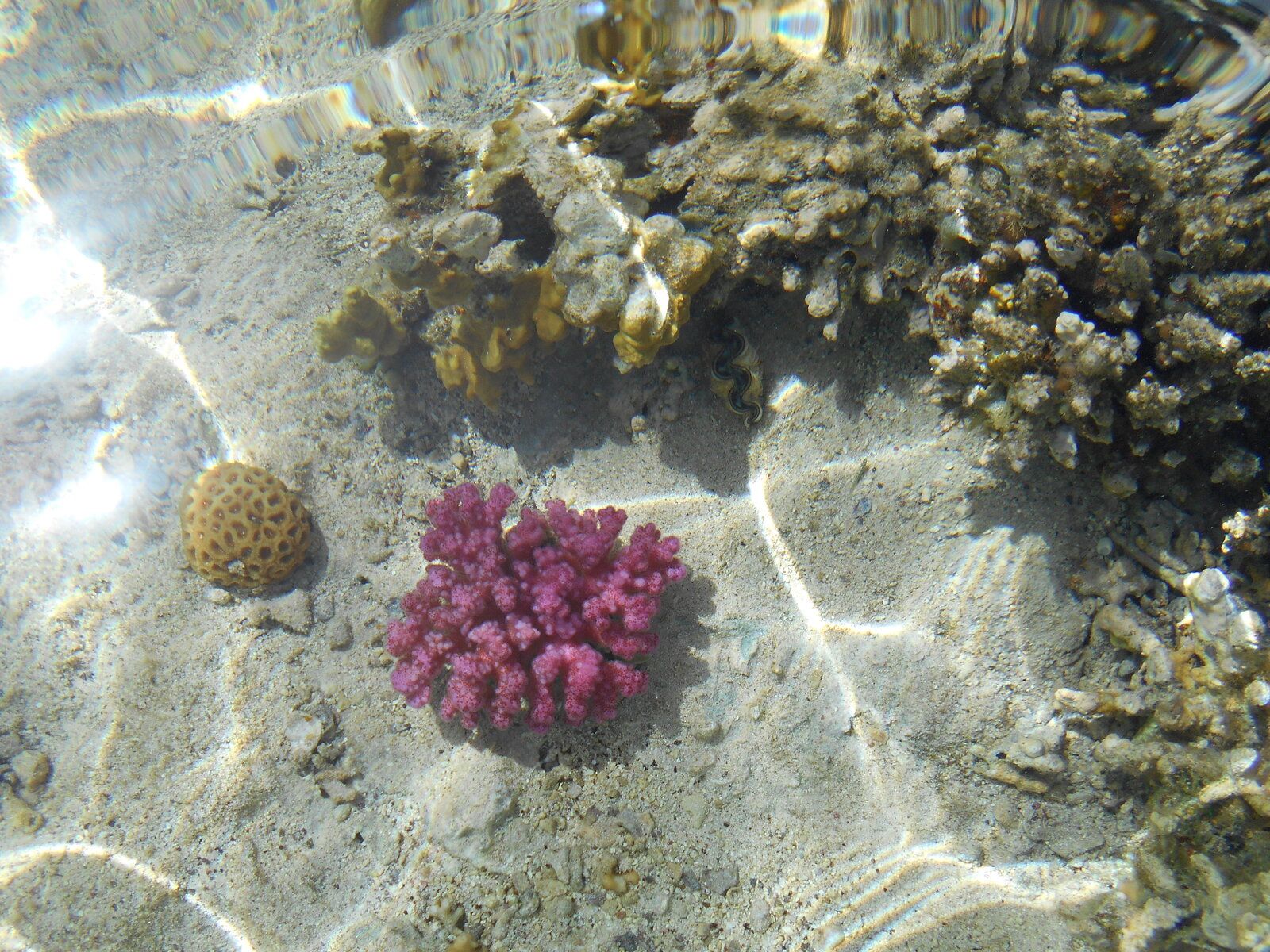 DSCN4056.JPG