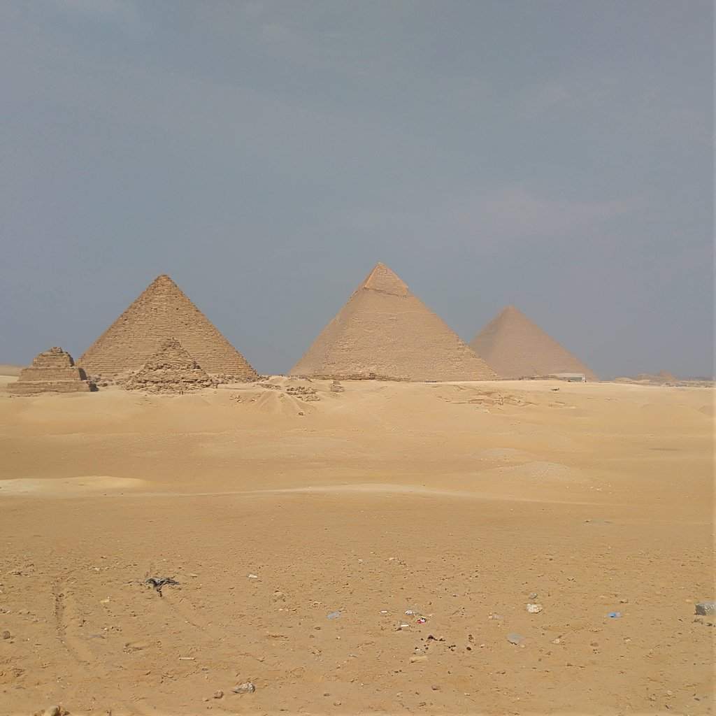 E.jpg