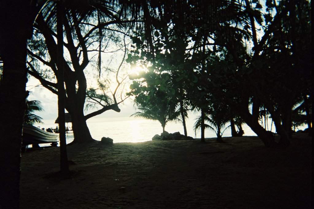 F1000002.JPG