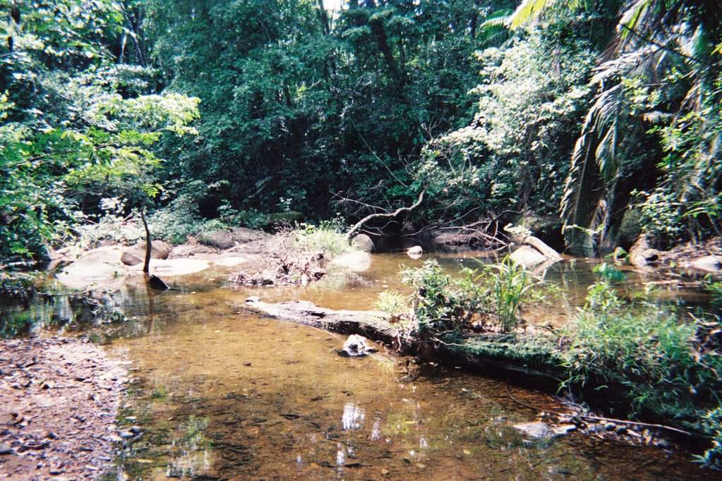 F1010007.JPG