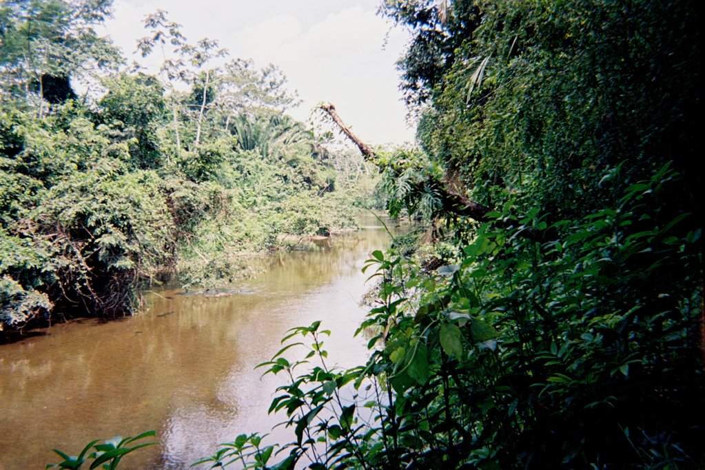F1010010.JPG