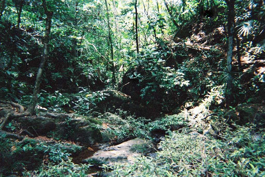 F1010014.JPG
