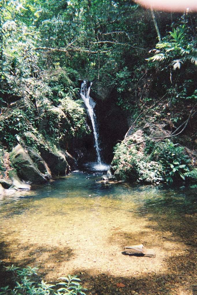F1010020.JPG