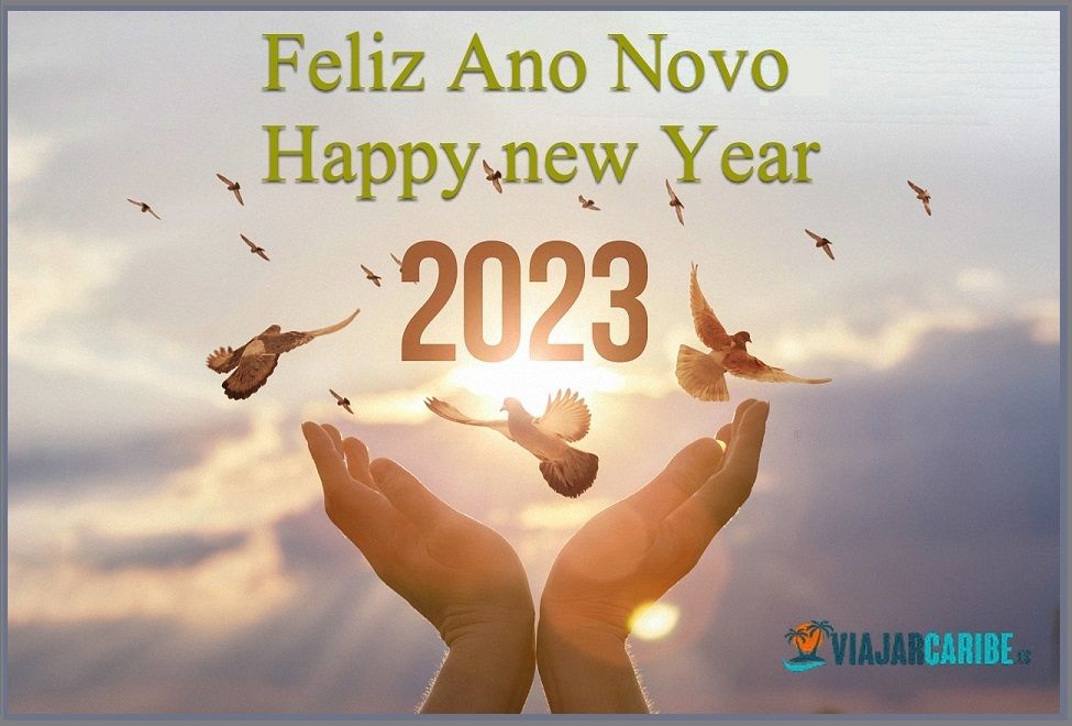 Feliz Año-PT.jpg