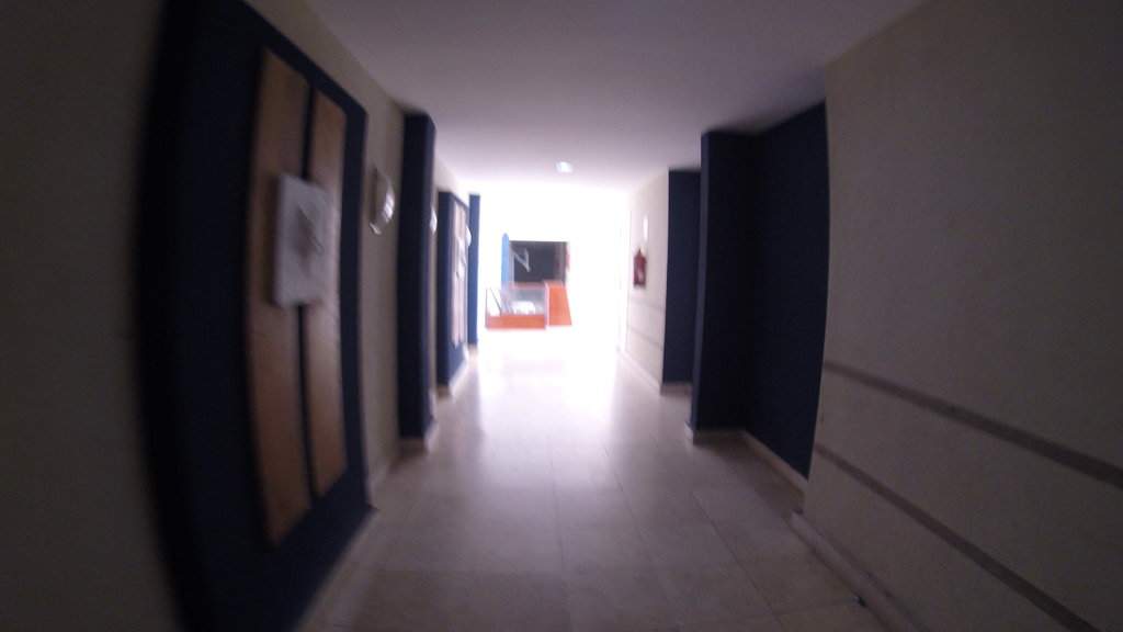 G1165264.JPG