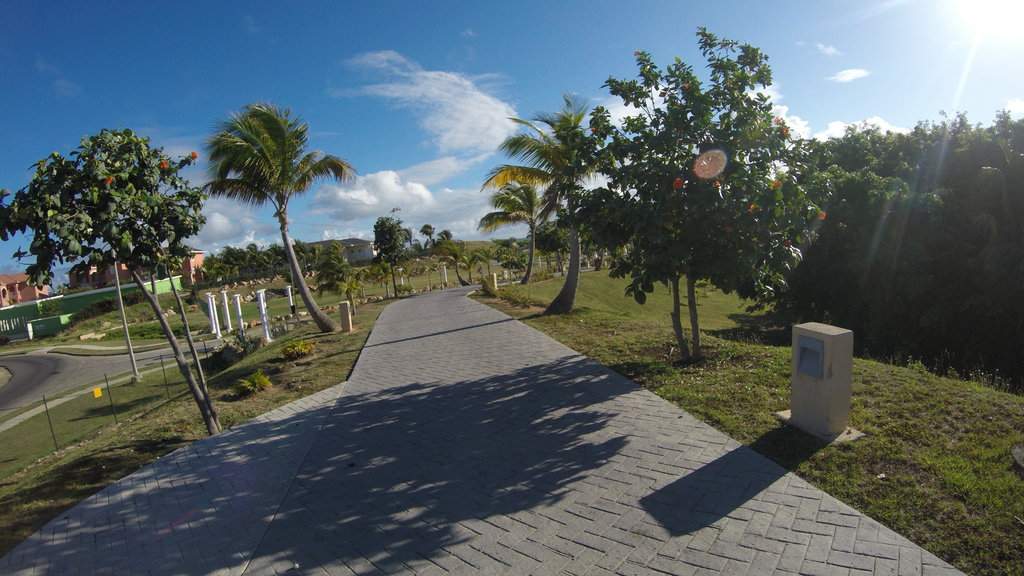 G1175304.JPG