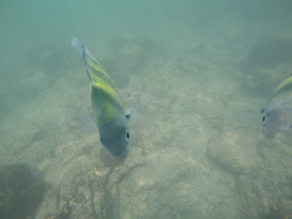 GOPR0535.JPG