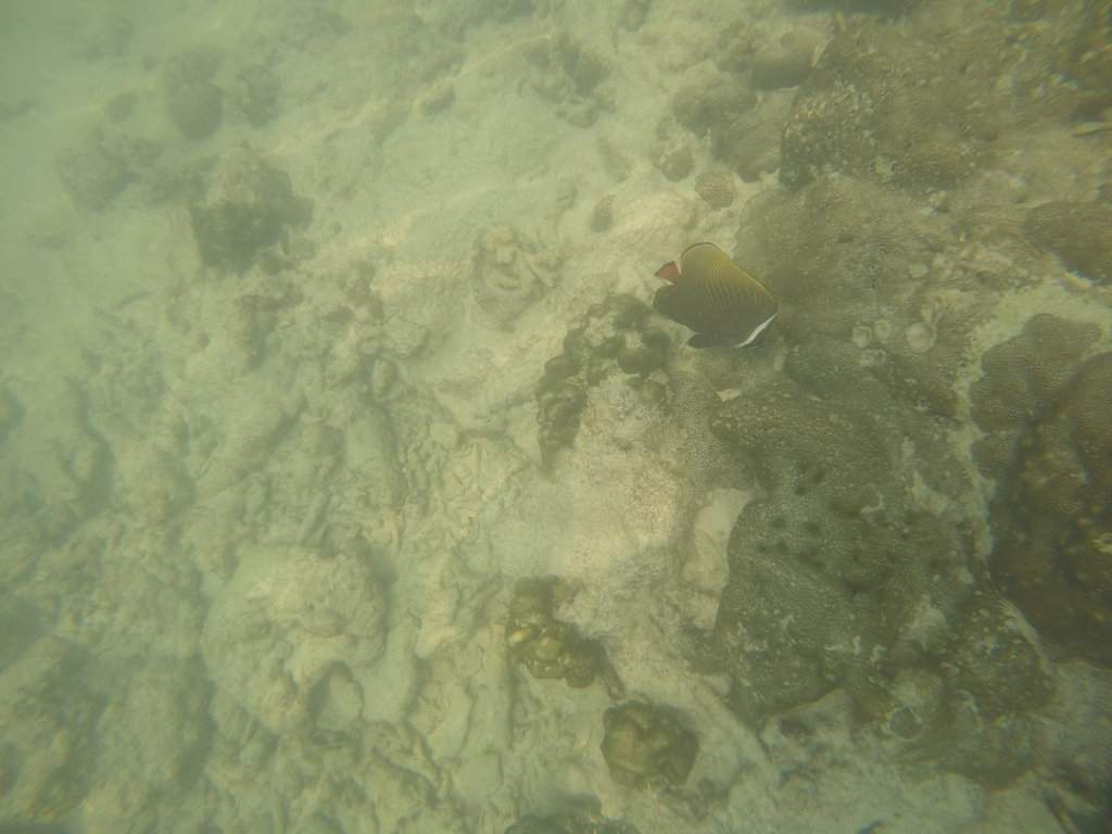 GOPR0555.JPG