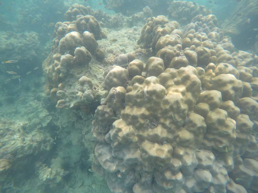 GOPR0720.JPG