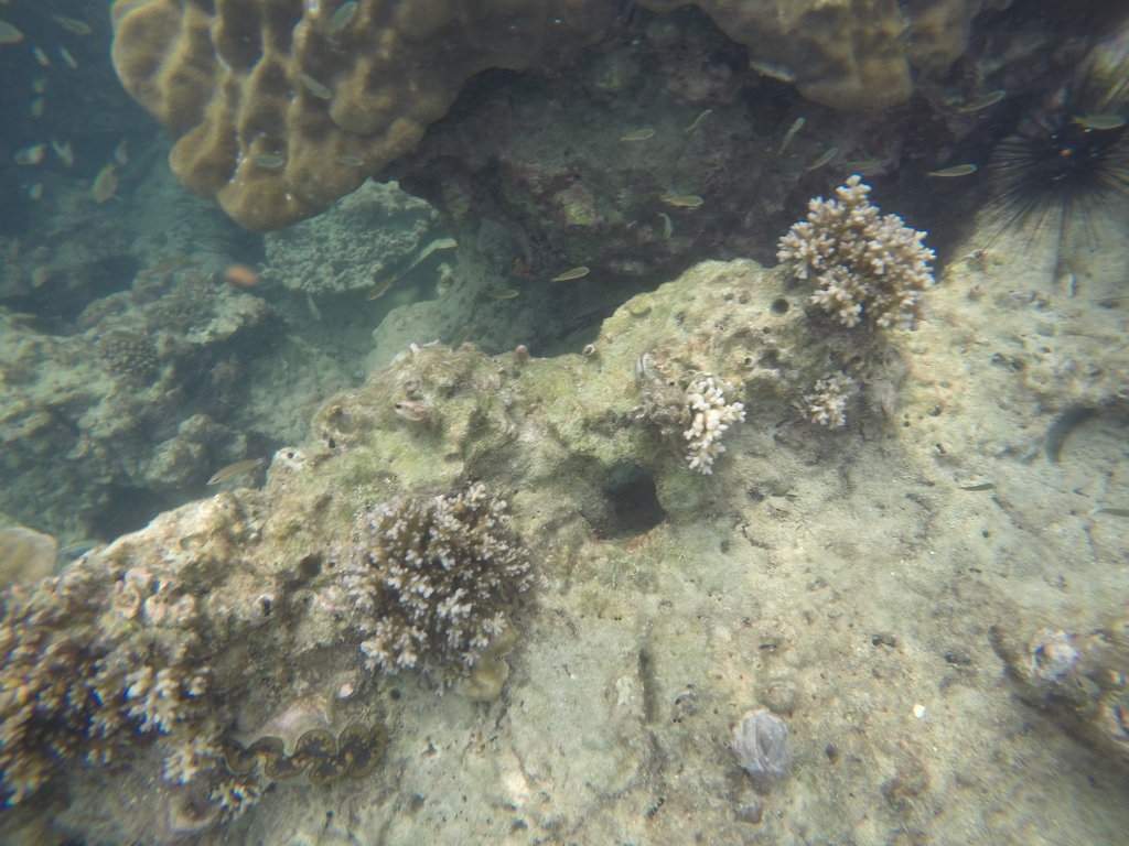 GOPR0722.JPG