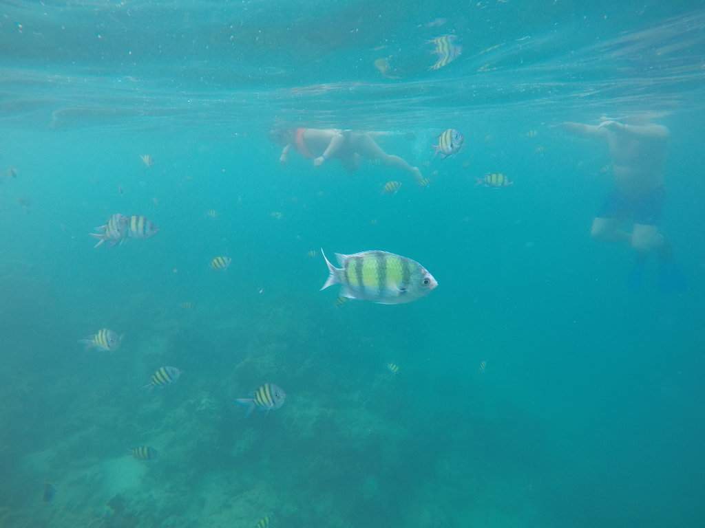 GOPR0744.JPG