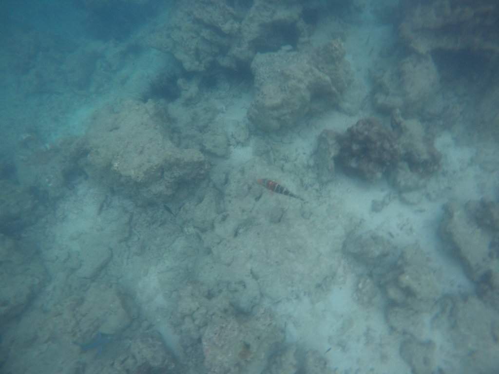 GOPR0851.JPG