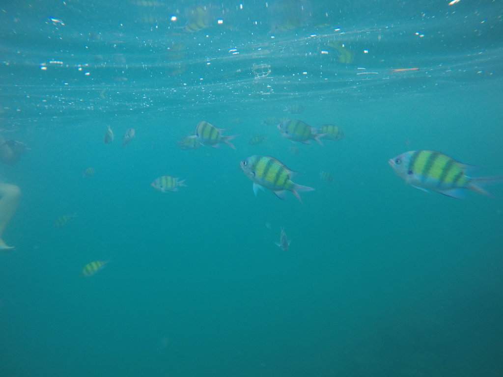 GOPR0855.JPG