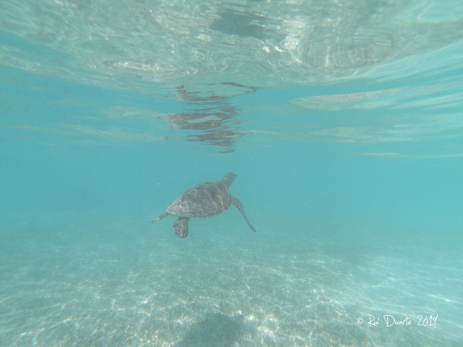 GOPR0899.JPG