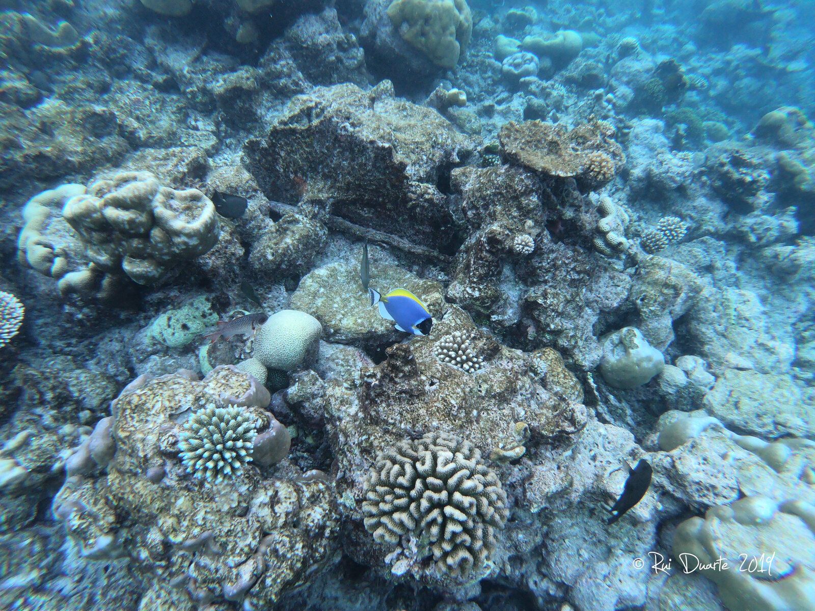 GOPR1032.JPG