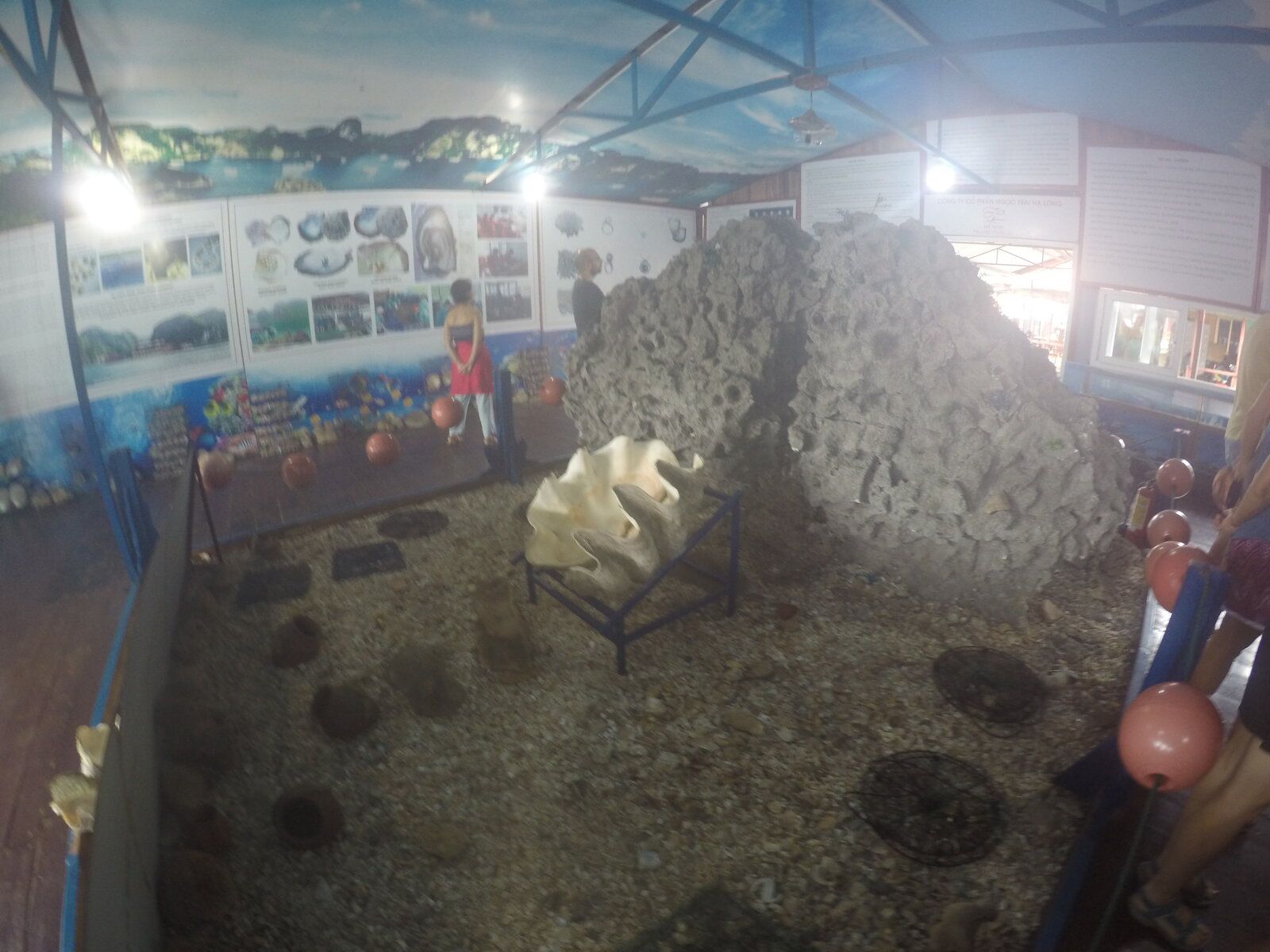 GOPR2682.JPG