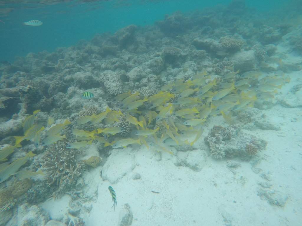 GOPR3817.JPG