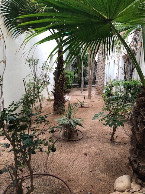 Hotel garden.jpg
