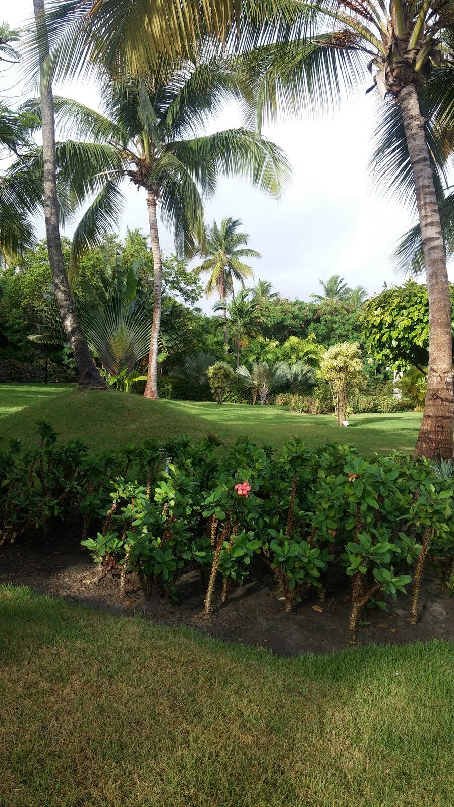 hotel17.jpg