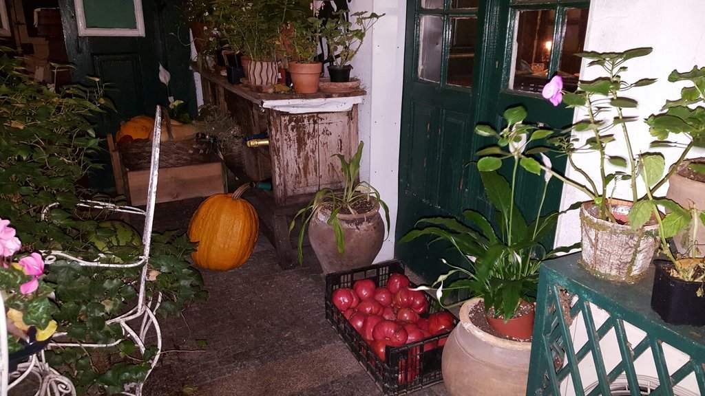 IMG-20171006-WA0065.jpg