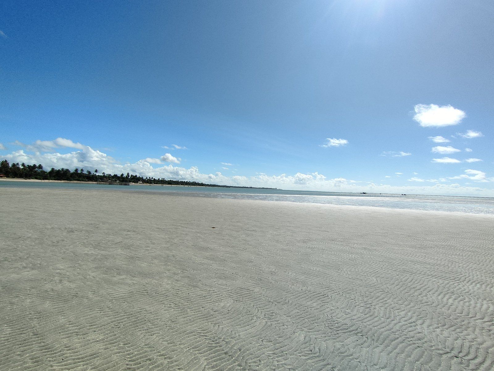 IMG20230604090606.jpg