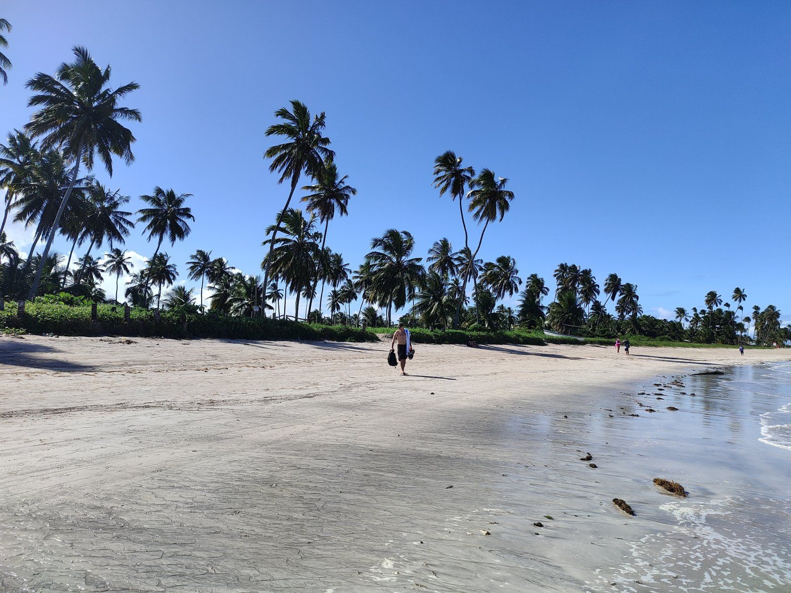 IMG20230605133607.jpg