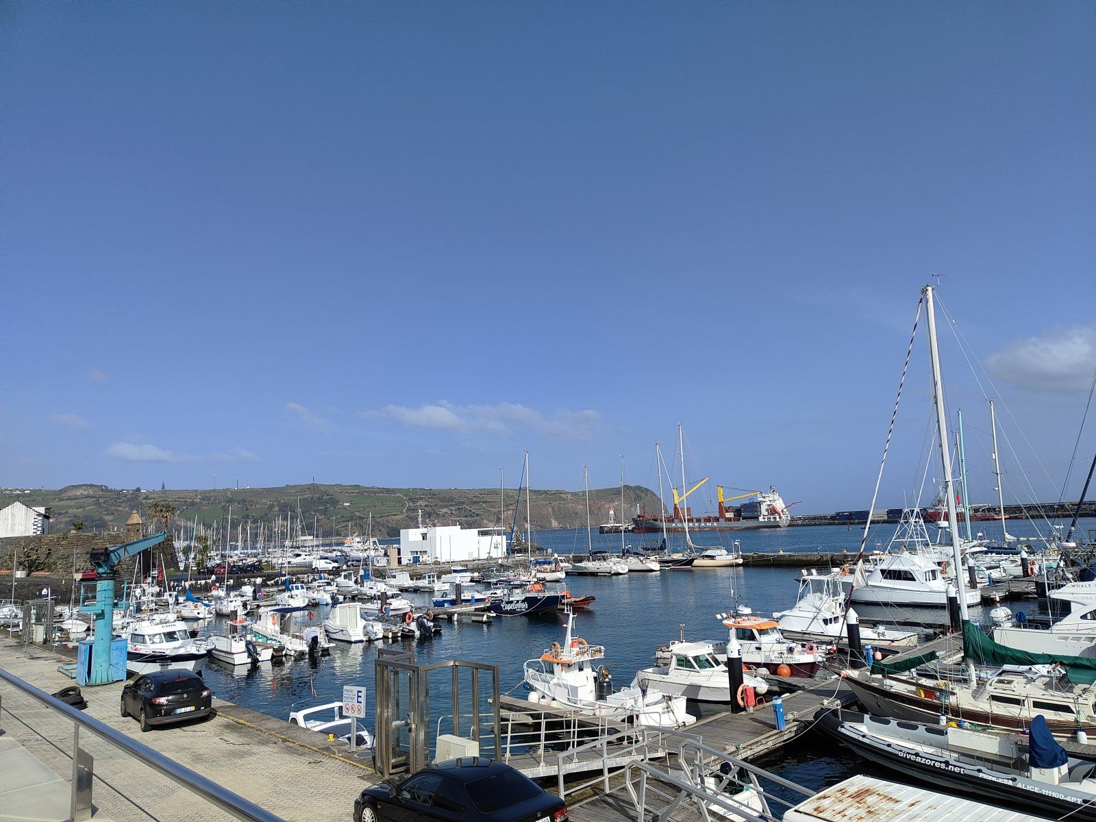 IMG20240202143910.jpg