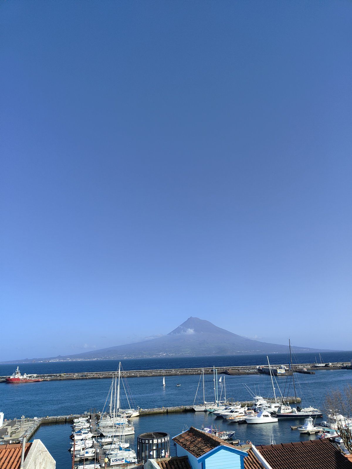 IMG20240203160214.jpg