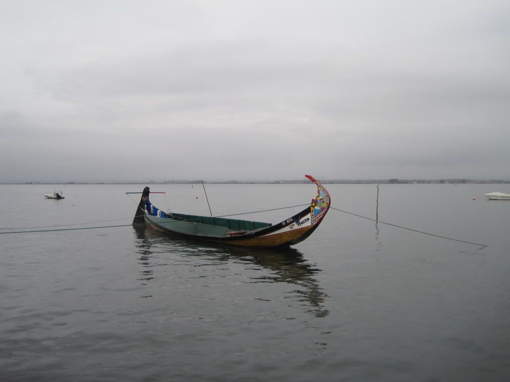 IMG_0910.jpg