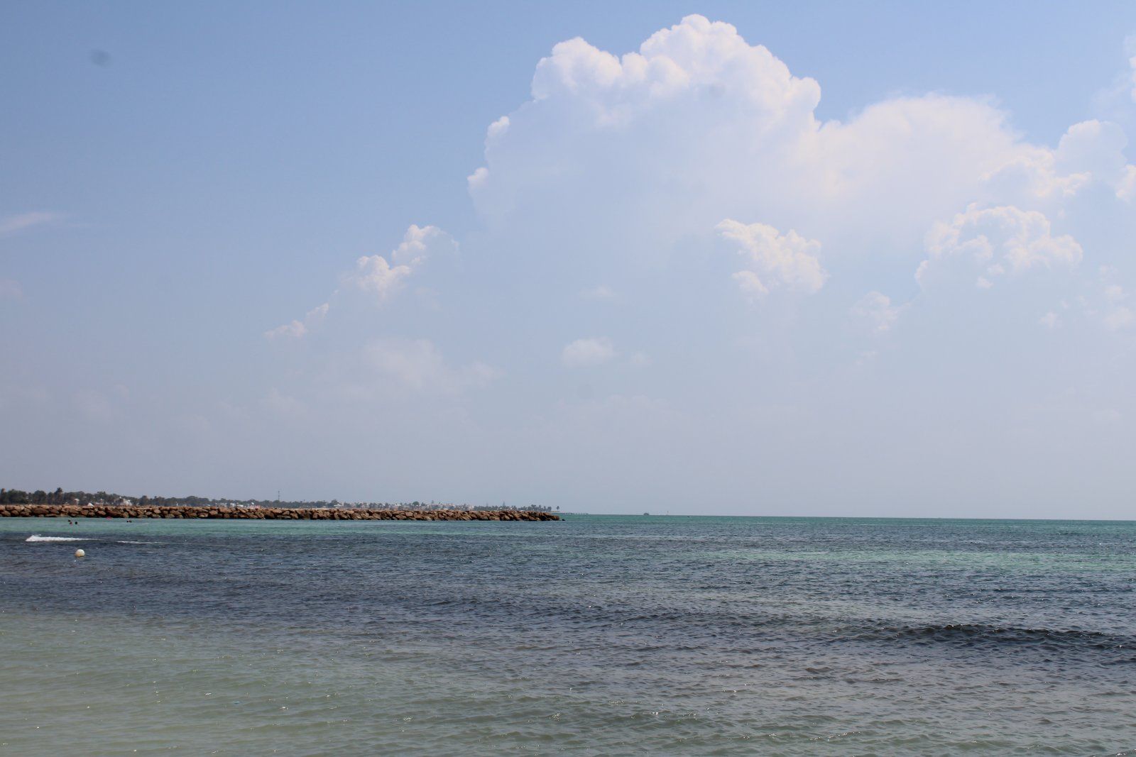 IMG_1492.JPG