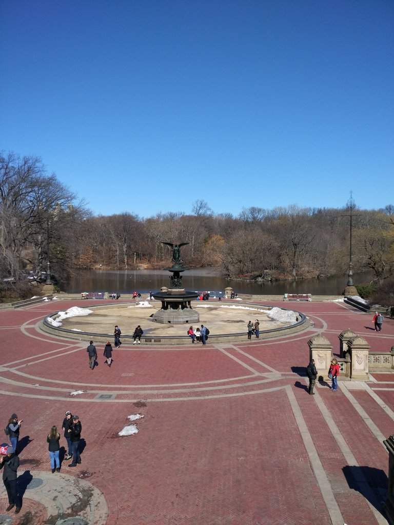 IMG_20170217_122150.jpg