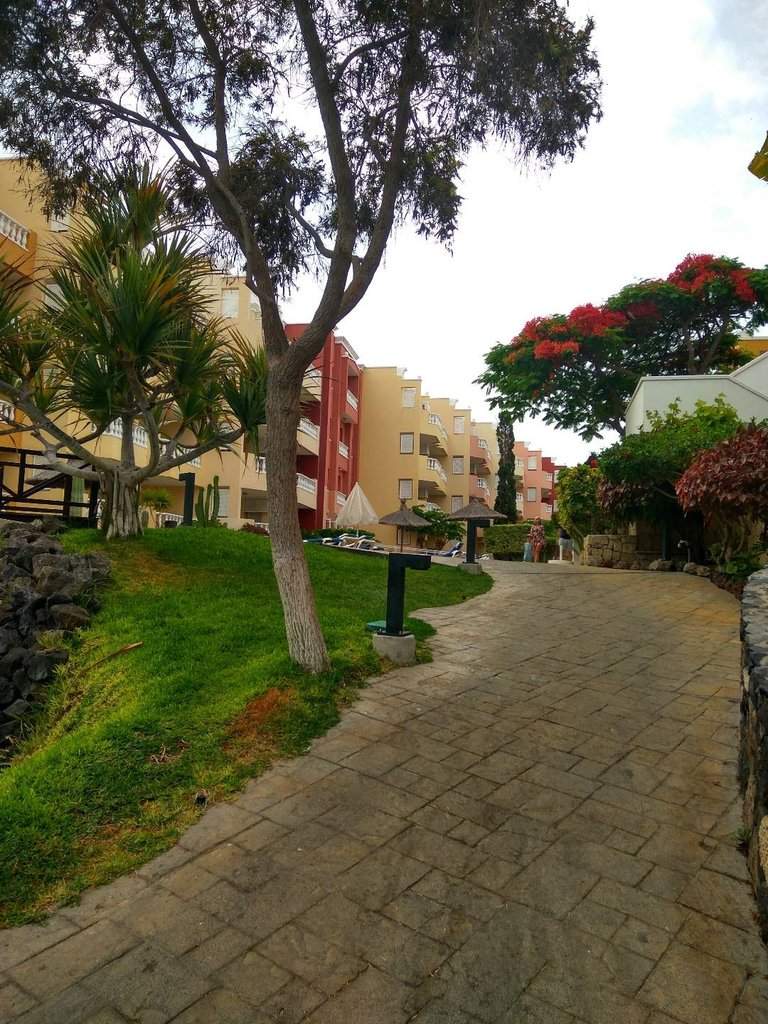 IMG_20170622_091306_HDR.jpg
