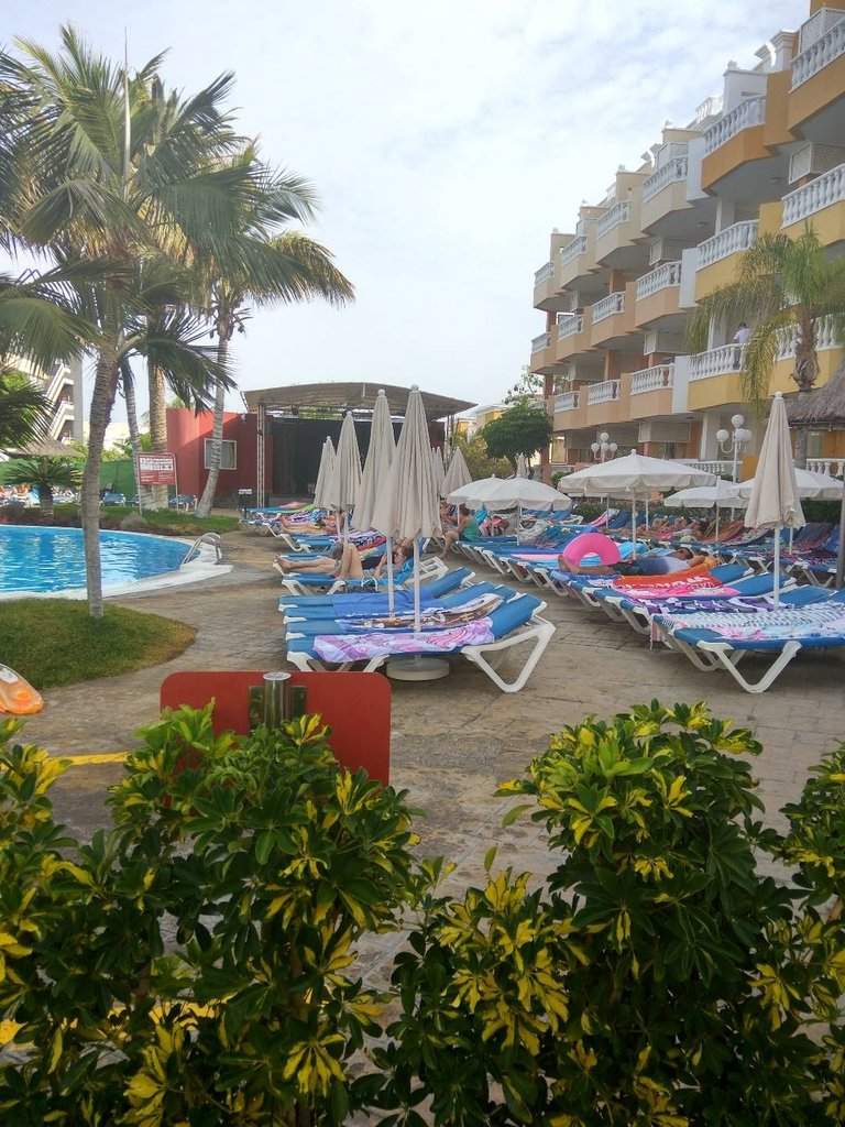IMG_20170625_095029_HDR.jpg