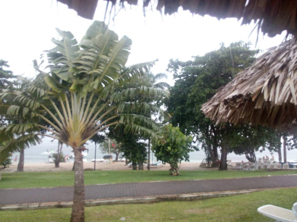 IMG_20170820_134346.jpg