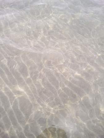 IMG_20190102_111947.jpg