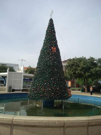 IMG_20190102_150439.jpg