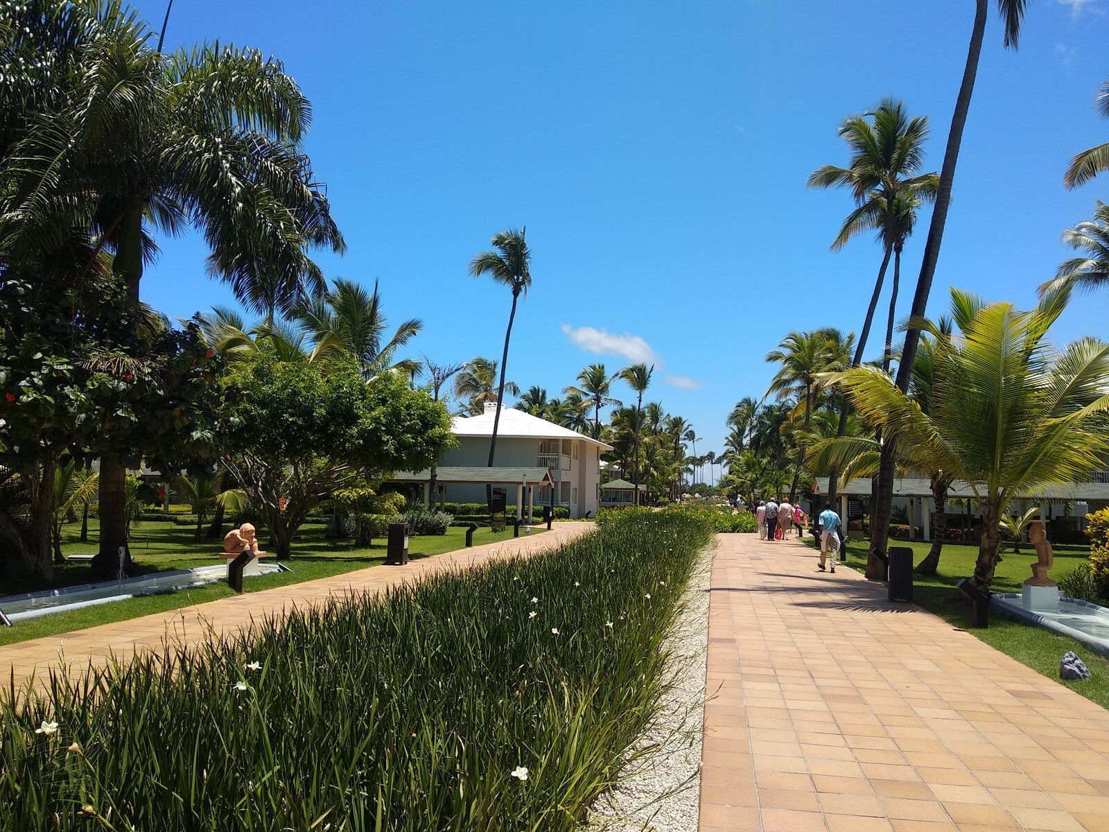 IMG_20190531_115554.jpg