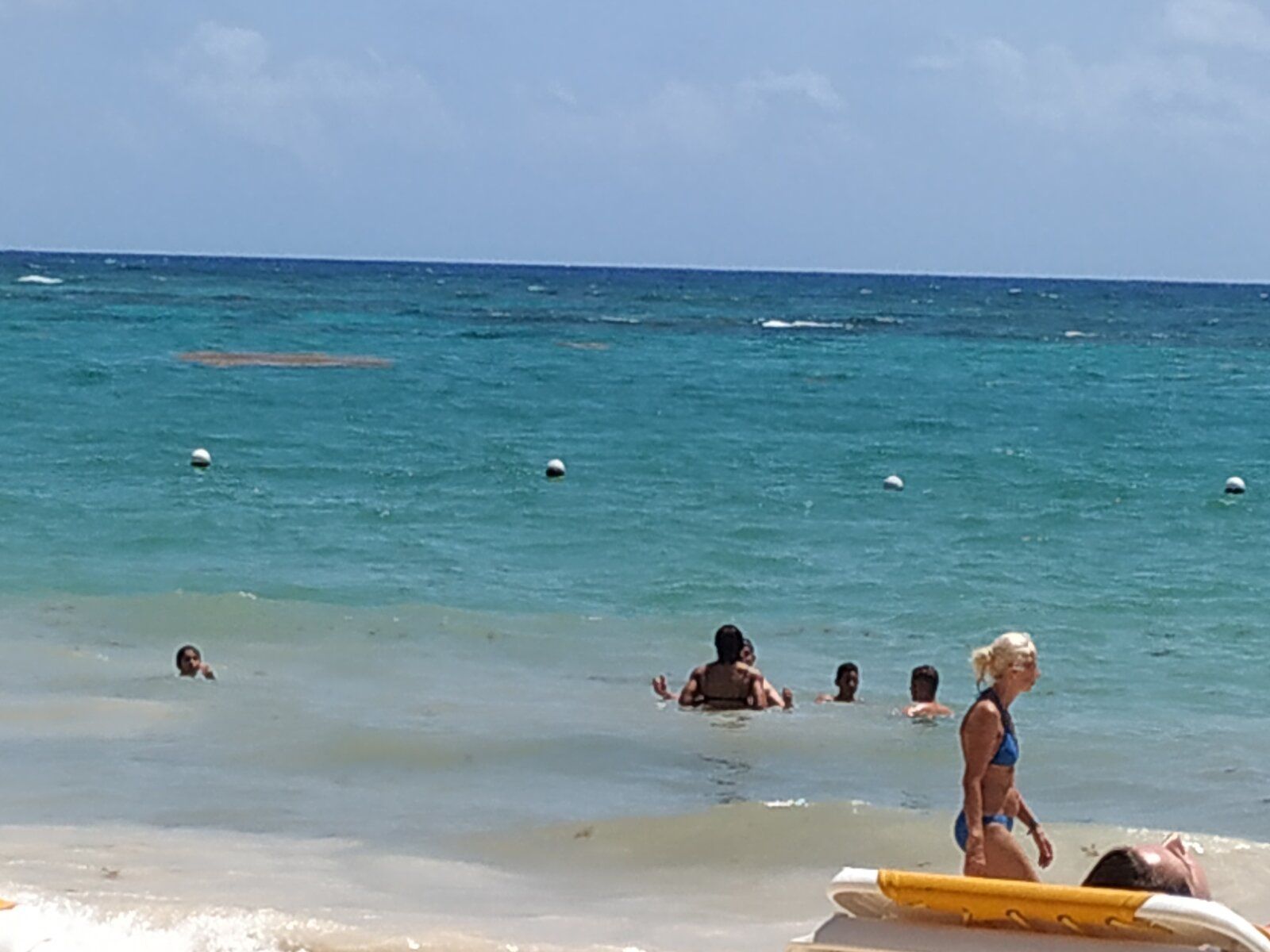 IMG_20190718_111958.jpg