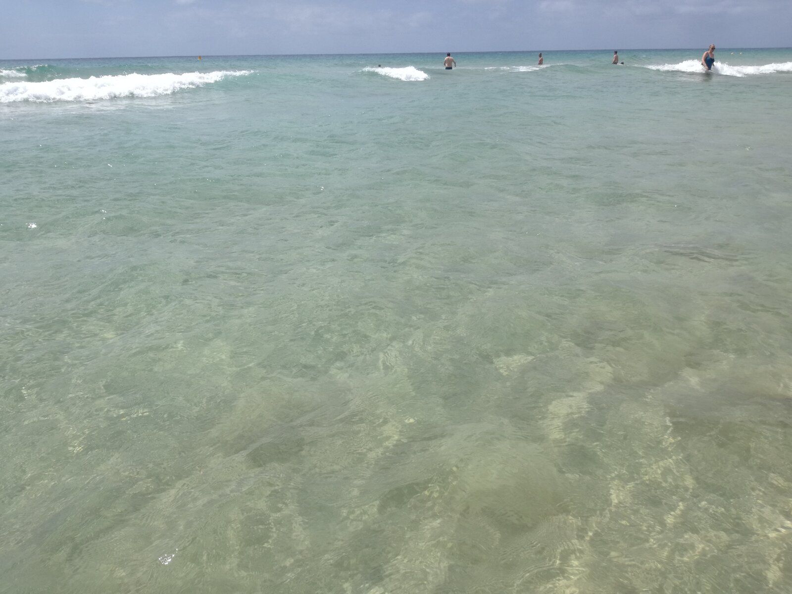 IMG_20190718_121412.jpg
