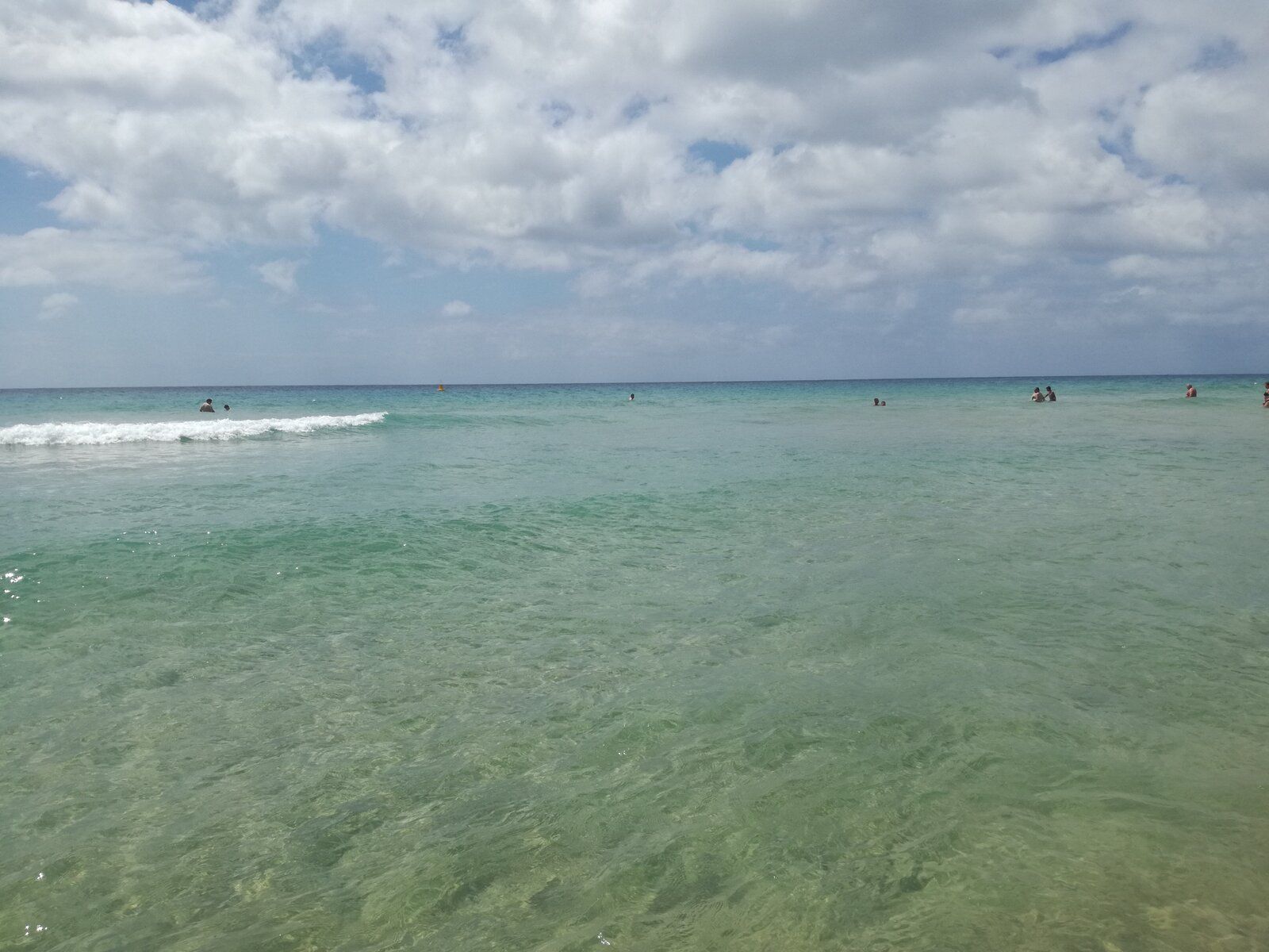IMG_20190718_121447_1.jpg