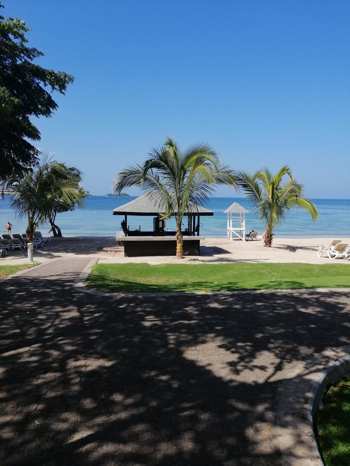 IMG_20190805_093848.jpg