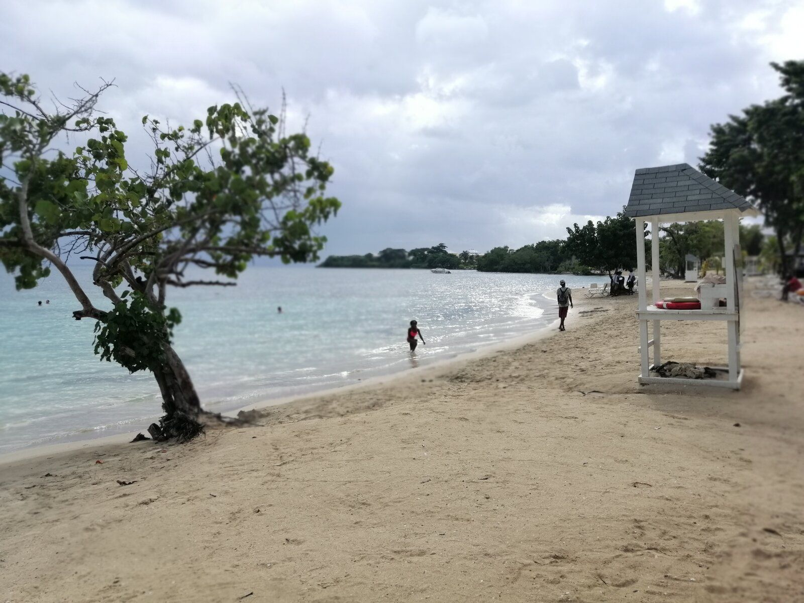 IMG_20190805_162300.jpg