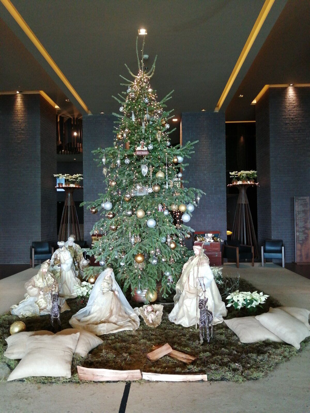 IMG_20201228_134656.jpg
