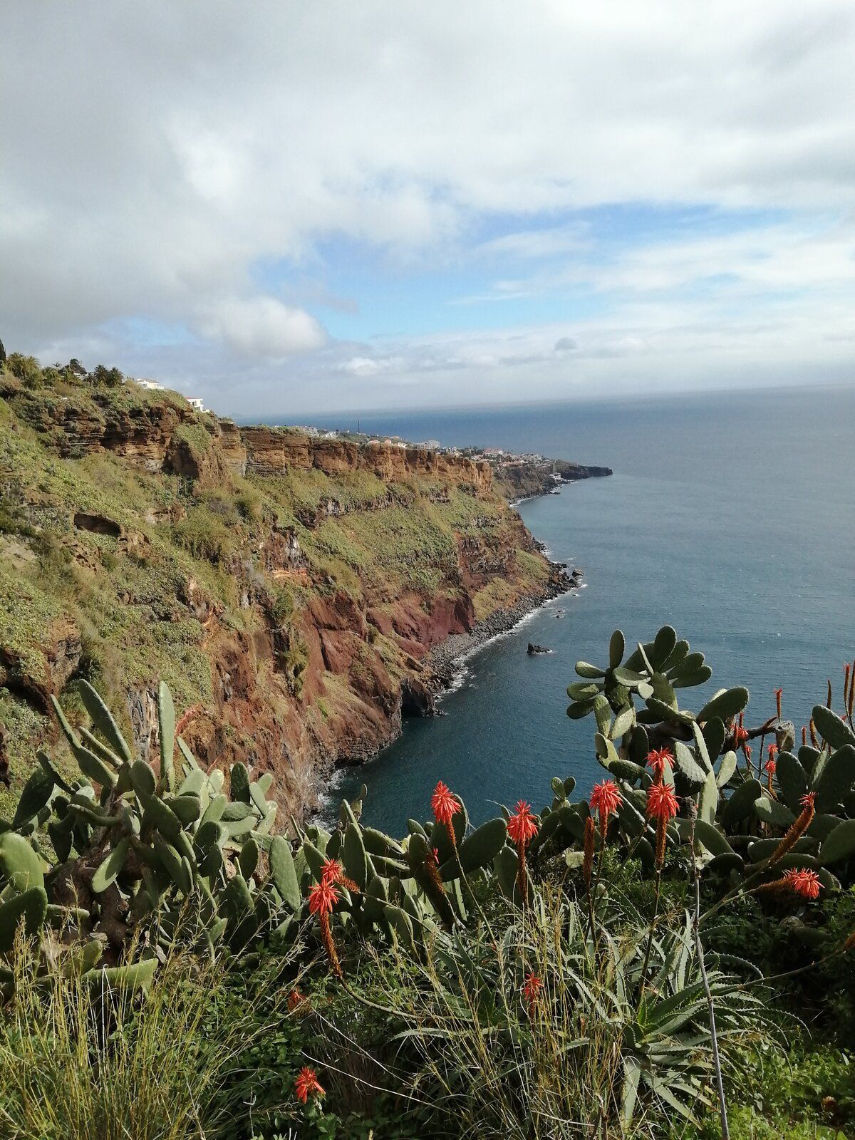 IMG_20201229_113453.jpg