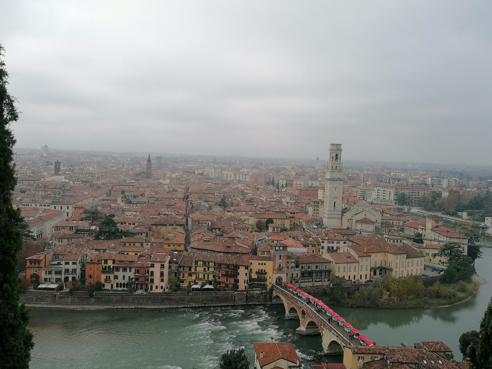 IMG_20211121_102627.jpg