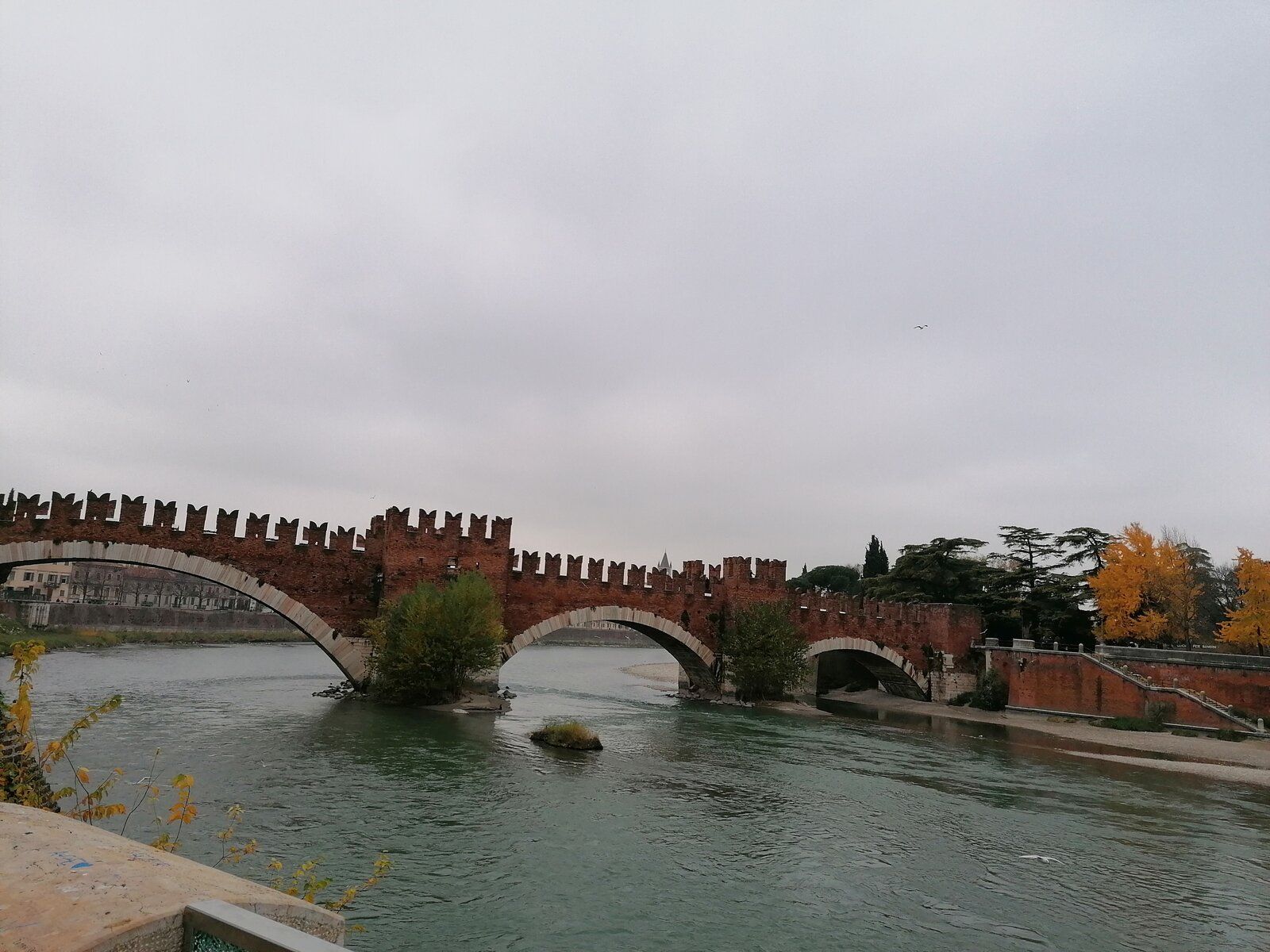 IMG_20211121_120824.jpg